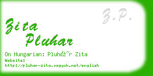 zita pluhar business card